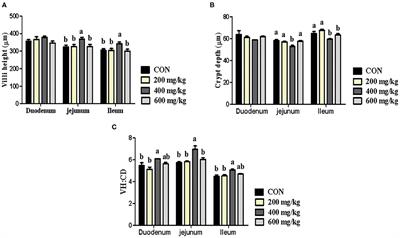 Bacteriophage as an Alternative to Antibiotics Promotes Growth Performance by Regulating Intestinal Inflammation, Intestinal Barrier Function and Gut Microbiota in Weaned Piglets